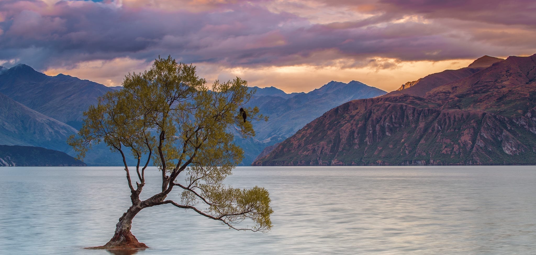 Plan Your Wanaka Holiday Discovering the South Island of New Zealand