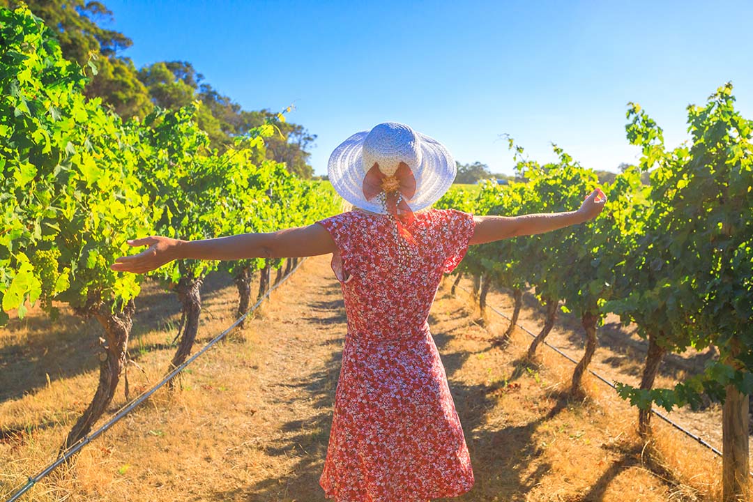 Margaret River Winery
