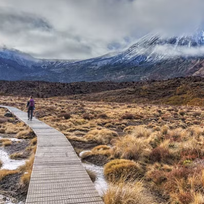 NZ winter blog - reduced